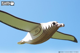 Albatros  Eugy 3D
