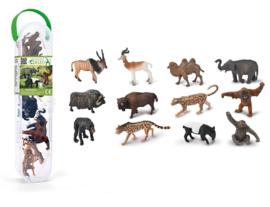 Wilde dieren    Set  CollectA 89116