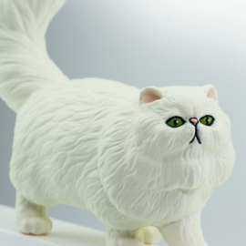 Persische kat S100203