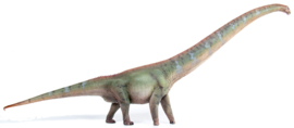 Mamenchisaurus Haolonggood HLG 095