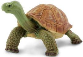 Reuzenschildpad  S272529