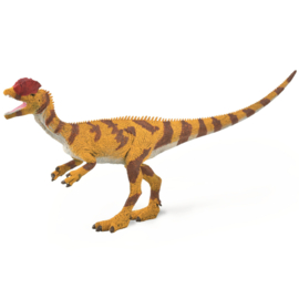 Dilophosaurus CollectA 88923  1:40