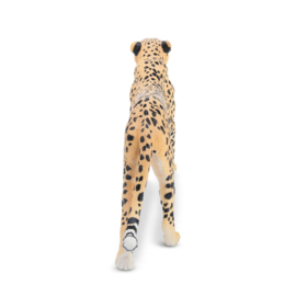 Cheetah female Toymany