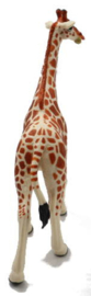 Giraffe Safari 268429