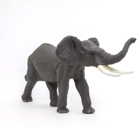 Olifant Papo 50215