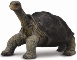 Galápagos tortoise   CollectA 88619