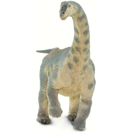 Camarasaurus Safari 100309
