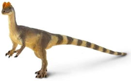 Dilophosaurus     S100508