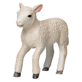 Romney sheep lamb Mojo 381066