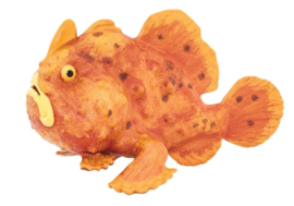 Frogfish Safari Ltd