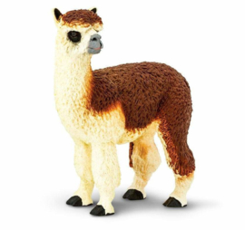 Alpaca  S224529