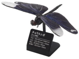 Takara Tomy insects