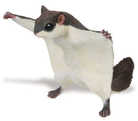 Flying Squirrel