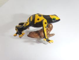 yellow-banded poison dart frog