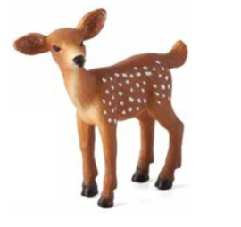 Deer  fawn  Mojo 387036