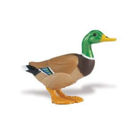 Duck  S233229