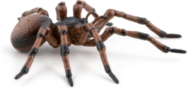 Spider  Papo 50292