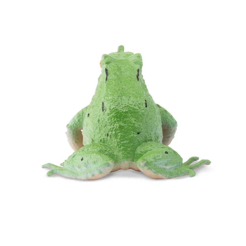 Darwin's frog  Toymany