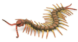 Centipede CollectA 88885