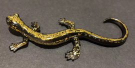 196a Hakone Salamander