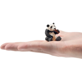 Panda Cub  Toymany