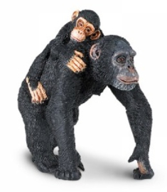 Chimpansee met jong  S295929