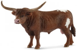 Texas Longhorn Stier 13866