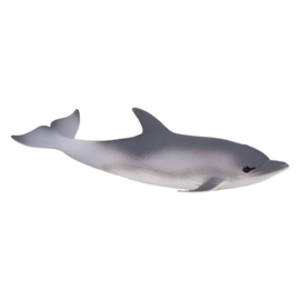 Dolphin    Mojo 387358