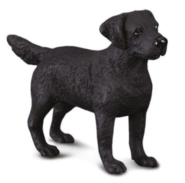 Labrador retriever CollectA 88076