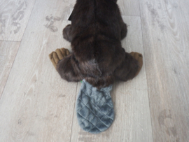 Bever pluche Wild republic