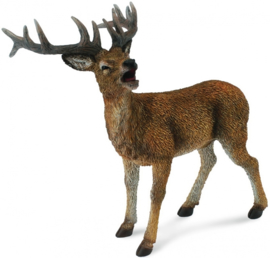 Red deer  CollectA 88469