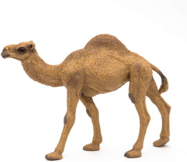 Dromedary  Papo 50151