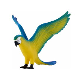 Blauw-gele ara   Mojo 381097