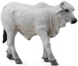 Brahman Calf    CollectA 88581