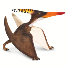 Pteranodon   Safari Ltd