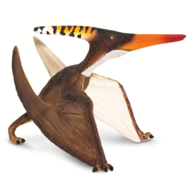 Pteranodon Safari 100301