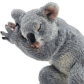 Koala Toymany