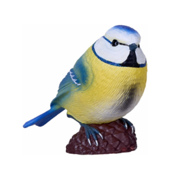 Blue tit  Mojo   available