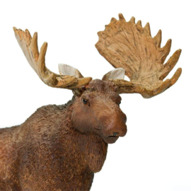 Moose bull  S181029