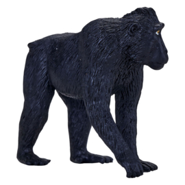 Macaque   Mojo 387182