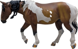 Pinto Mustang  merrie en veulen