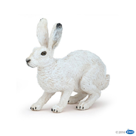 Artic Hare  Papo 50226