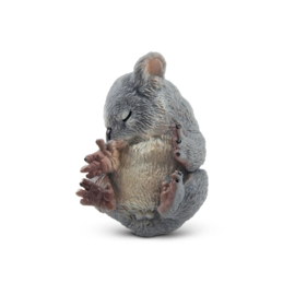 Koala slapend  Toymany