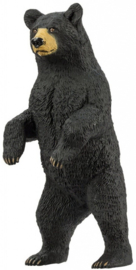 Black bear   safari 181629