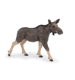 Eland  Papo 50310