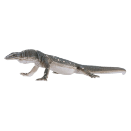 Perentie hagedis  Mojo 381061