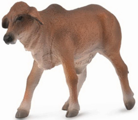 Red Brahman Calf  CollectA 88601