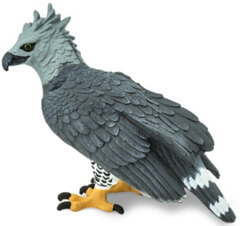Harpy Eagle   S150929