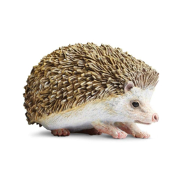 Hedgehog S261129