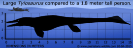 Tylosaurus  Papo 55024